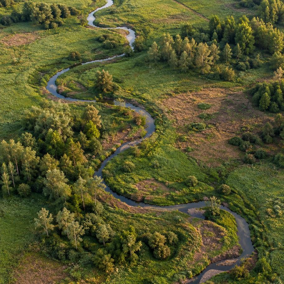 A stream winding through a green meadow, seen from above